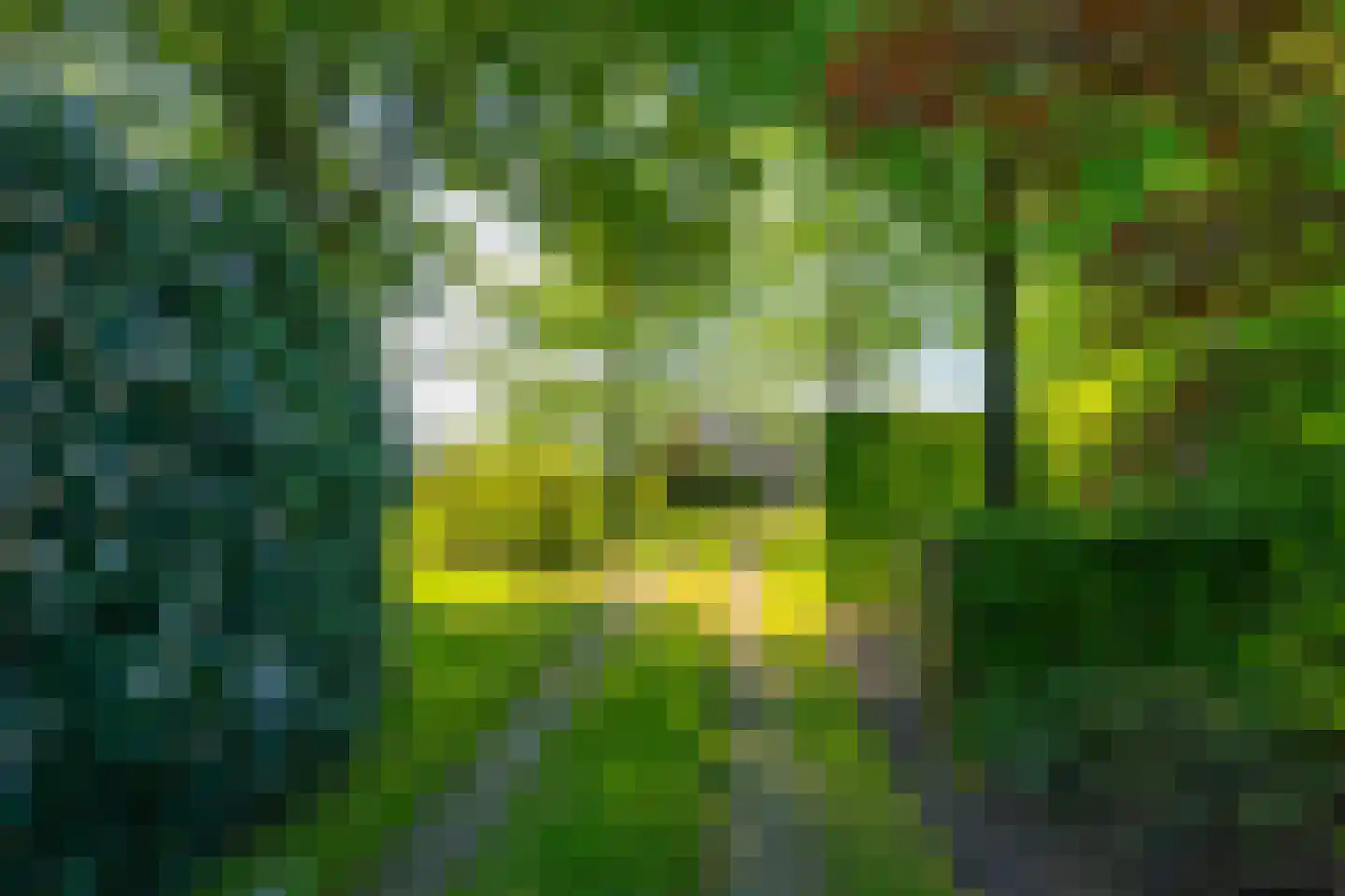 Koningsweg 3 Hengelo (Gld) thumbnail 20