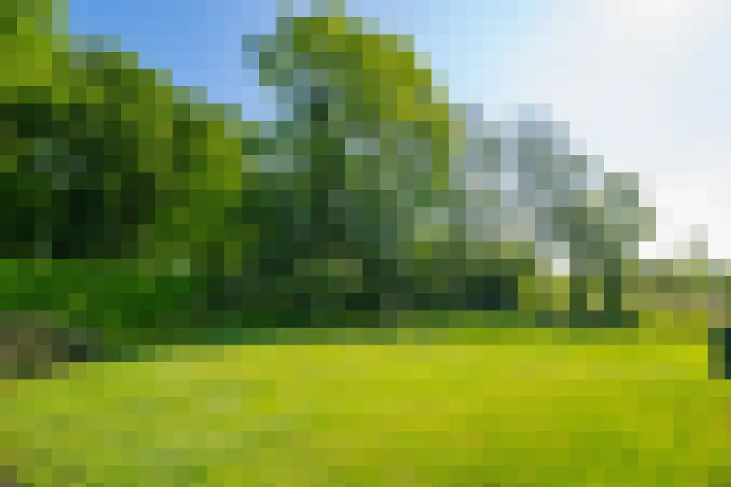 Koningsweg 3 Hengelo (Gld) thumbnail 22