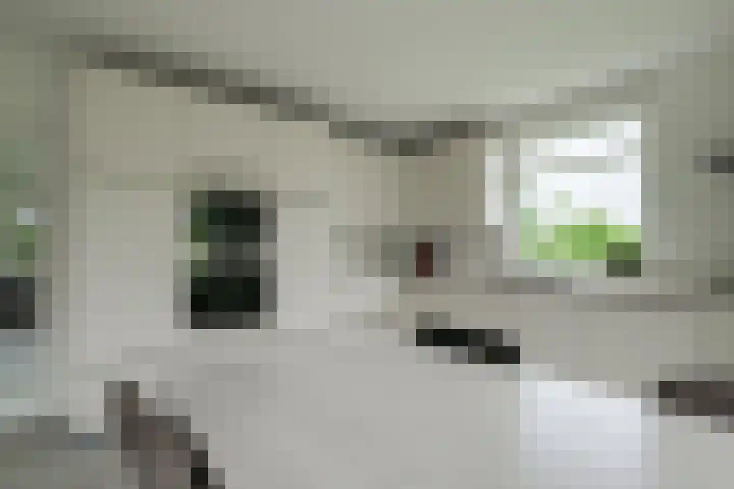 Koningsweg 3 Hengelo (Gld) thumbnail 35