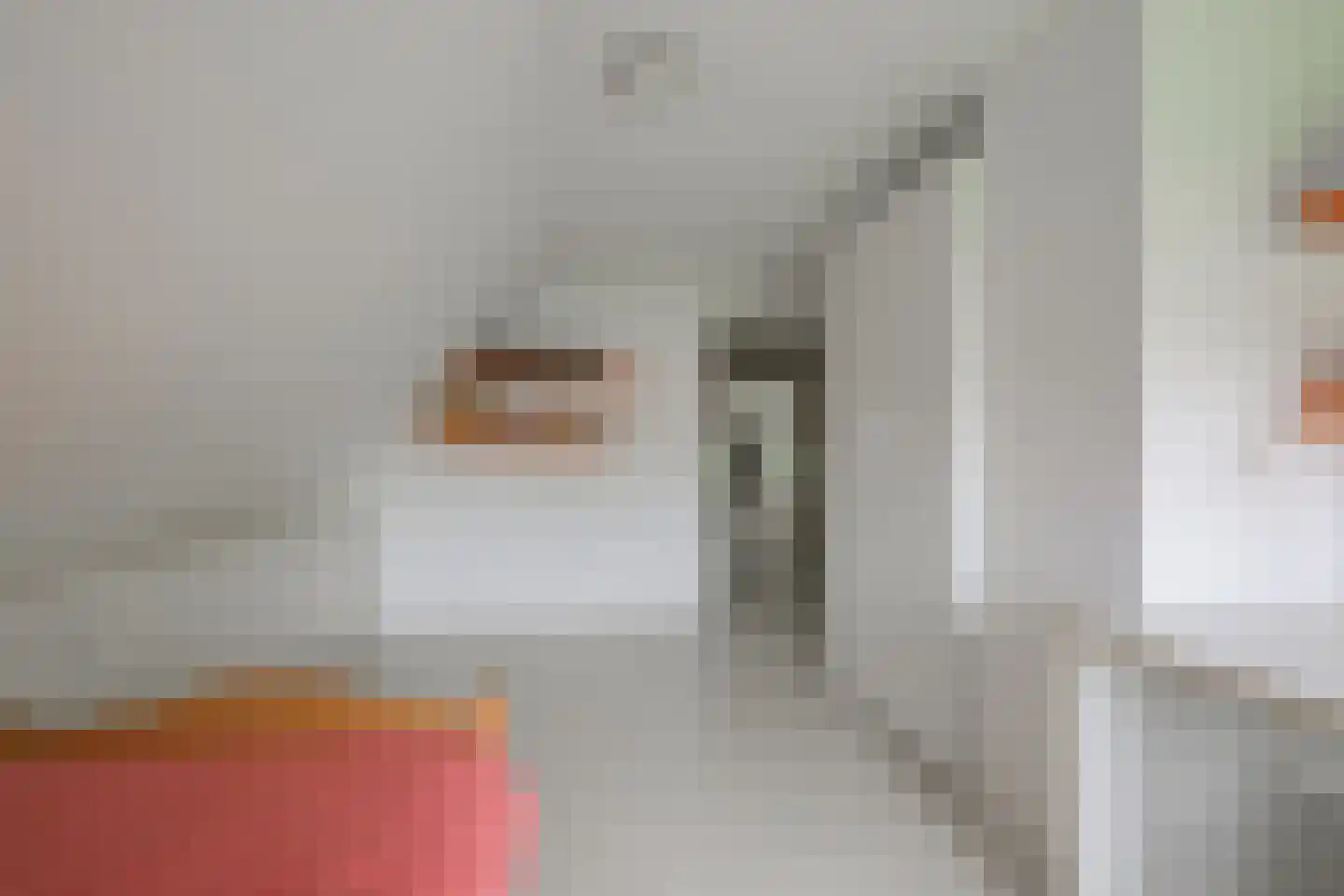 Koningsweg 3 Hengelo (Gld) thumbnail 50