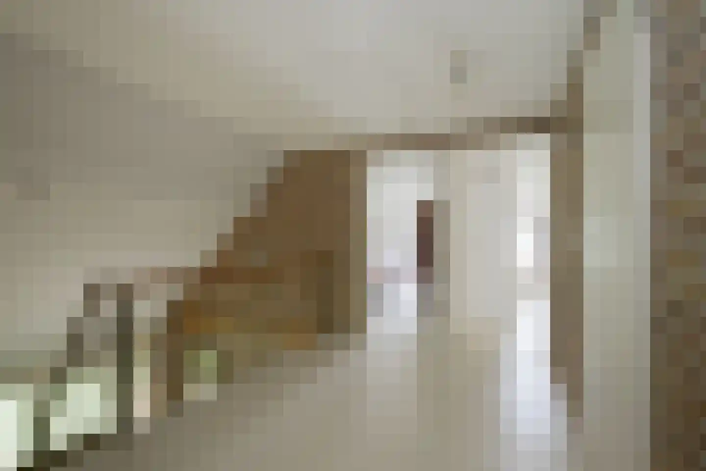 Koningsweg 3 Hengelo (Gld) thumbnail 53
