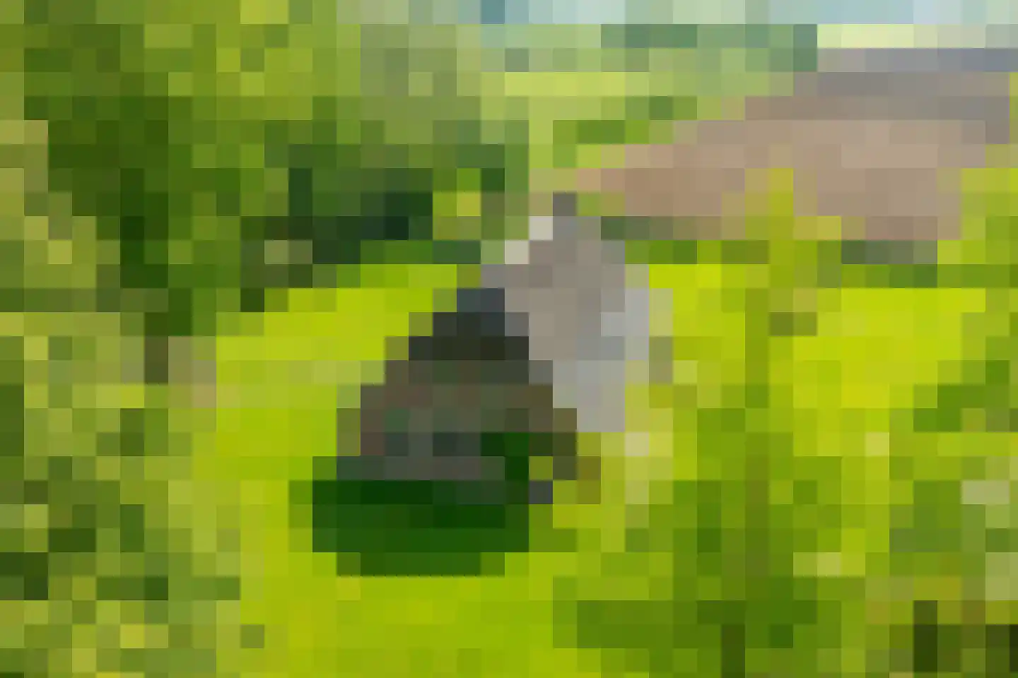 Koningsweg 3 Hengelo (Gld) thumbnail 6