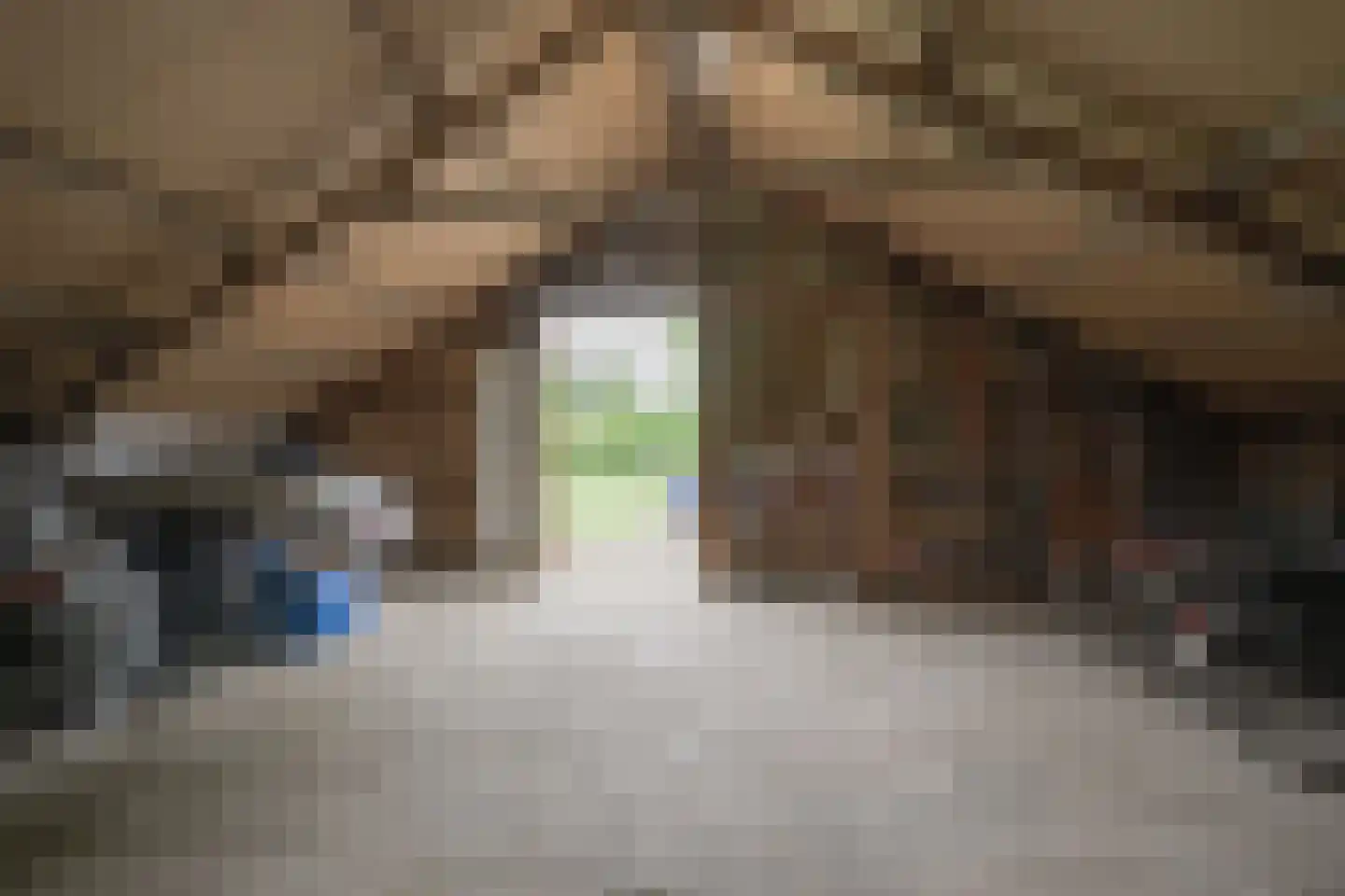 Koningsweg 3 Hengelo (Gld) thumbnail 65