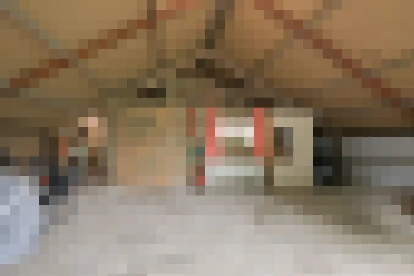 Koningsweg 3 Hengelo (Gld) thumbnail 66