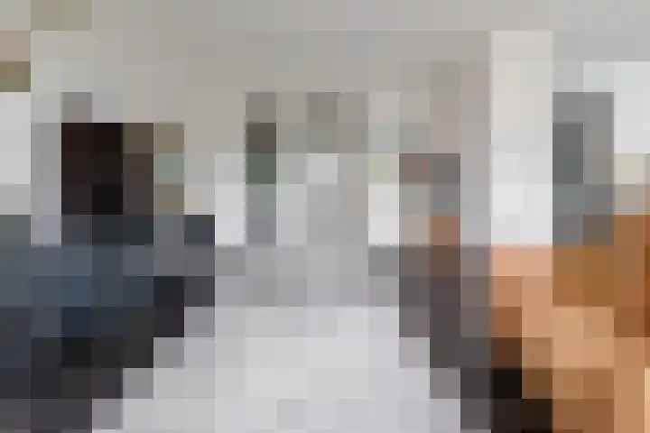 Koningsweg 3 Vriezenveen thumbnail 15