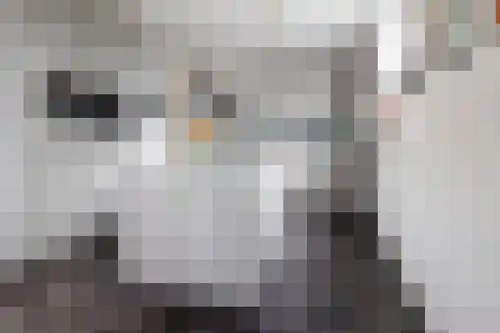 Koningsweg 3 Vriezenveen thumbnail 20