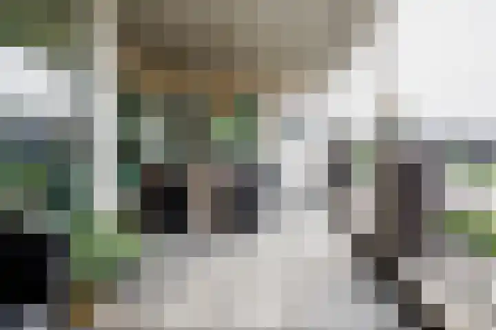 Koningsweg 3 Vriezenveen thumbnail 29