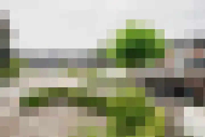 Koningsweg 3 Vriezenveen thumbnail 30