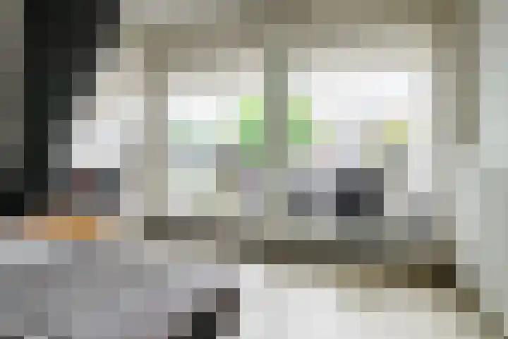 Koningsweg 3 Vriezenveen thumbnail 38