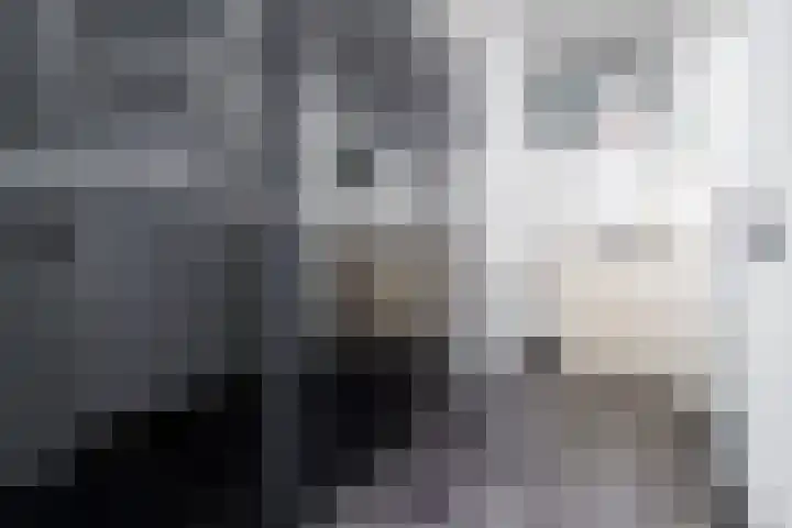 Koningsweg 3 Vriezenveen thumbnail 44