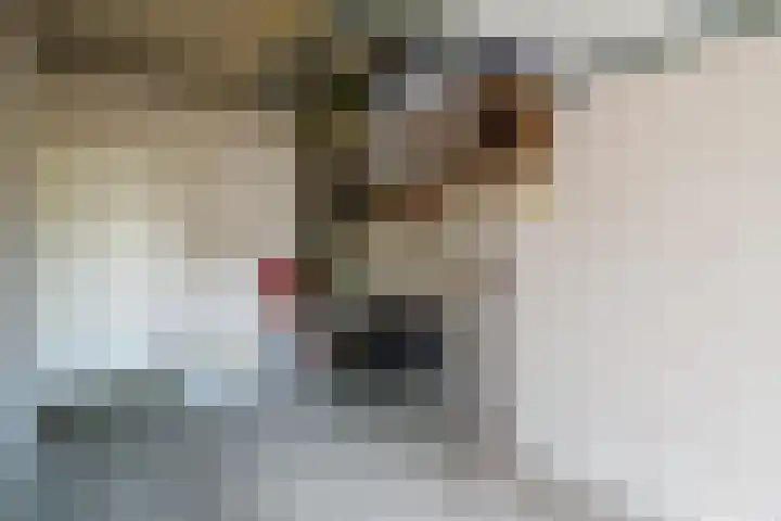 Koningsweg 3 Vriezenveen thumbnail 48