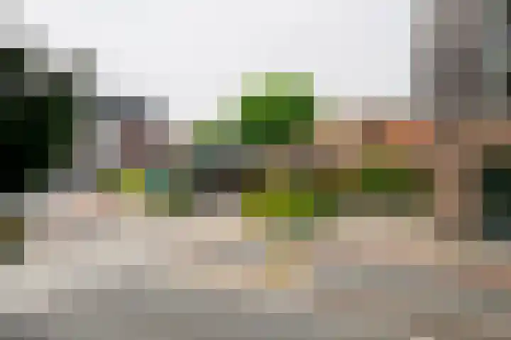 Koningsweg 3 Vriezenveen thumbnail 50