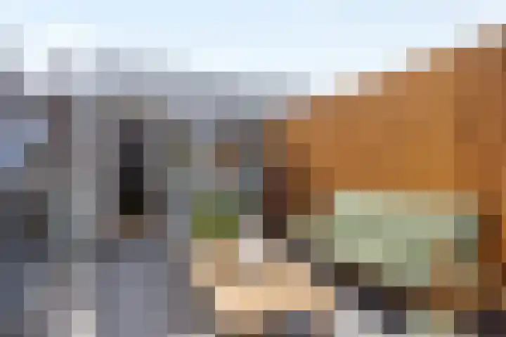 Koningsweg 31 C 's-Hertogenbosch thumbnail 12