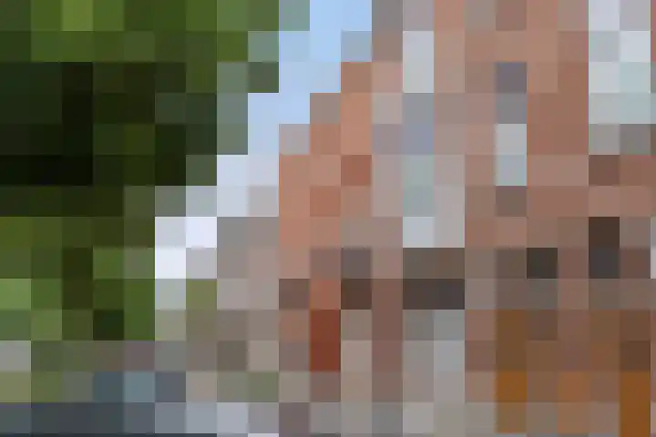 Koningsweg 31 C 's-Hertogenbosch thumbnail 24