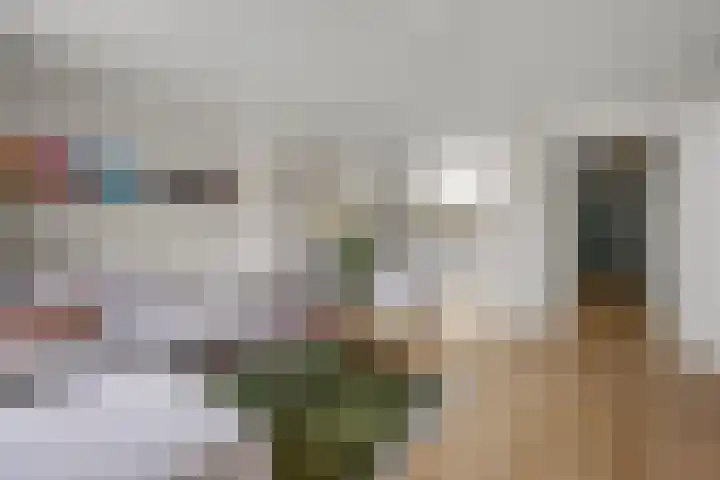 Koningsweg 31 C 's-Hertogenbosch thumbnail 9