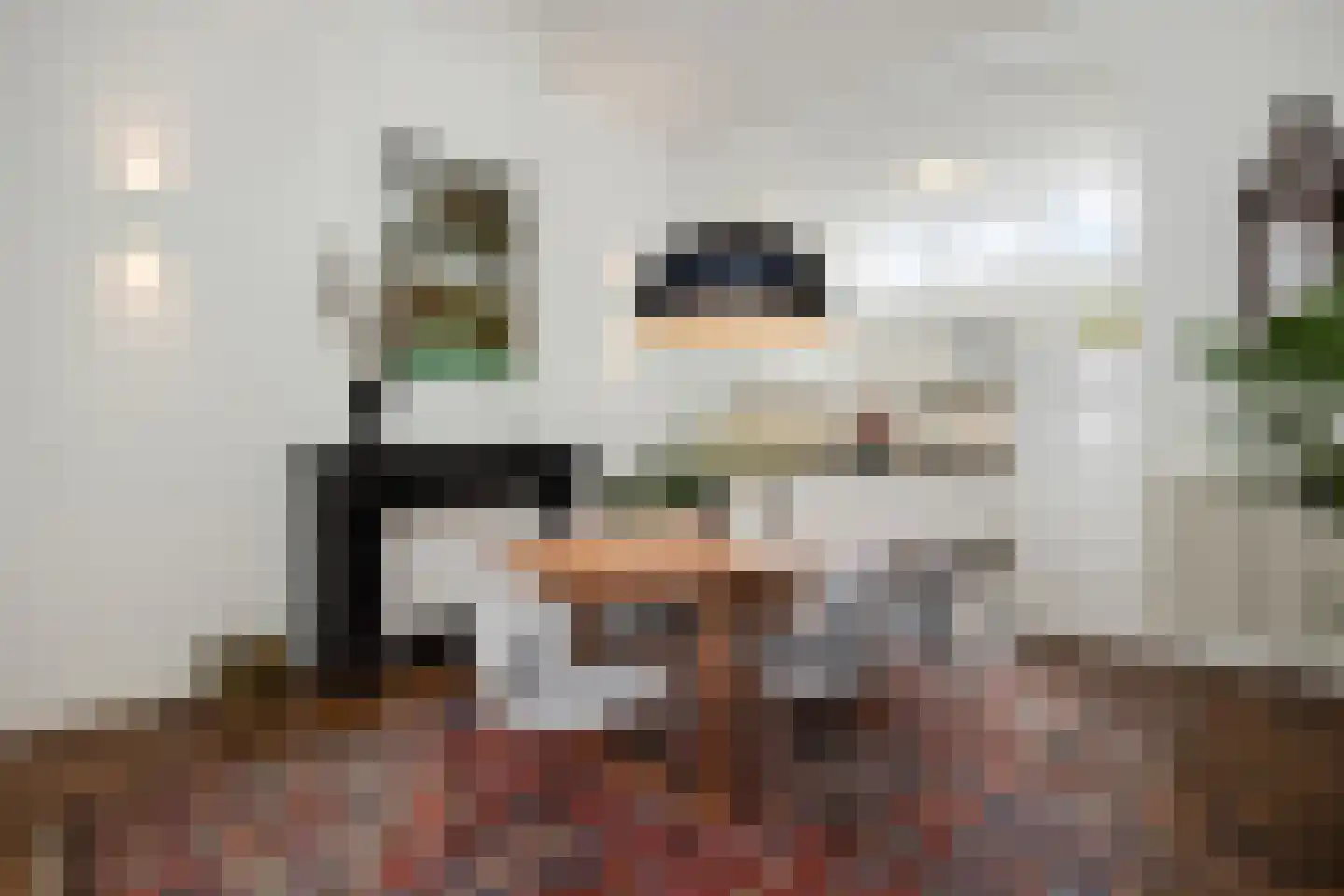 Koningsweg 31 D 's-Hertogenbosch thumbnail 16