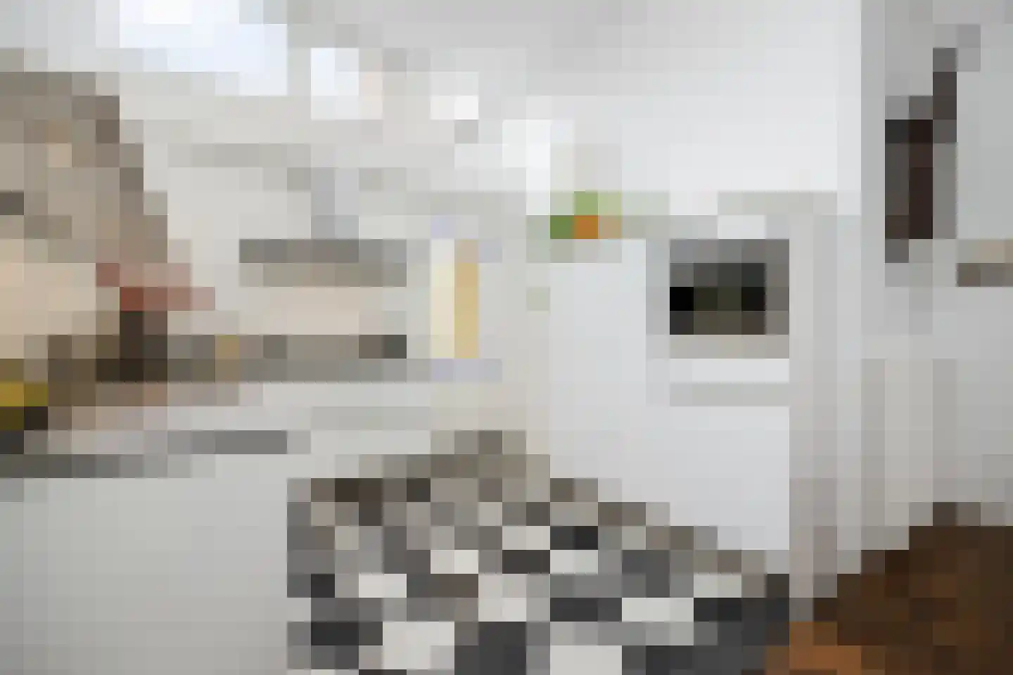 Koningsweg 31 D 's-Hertogenbosch thumbnail 22