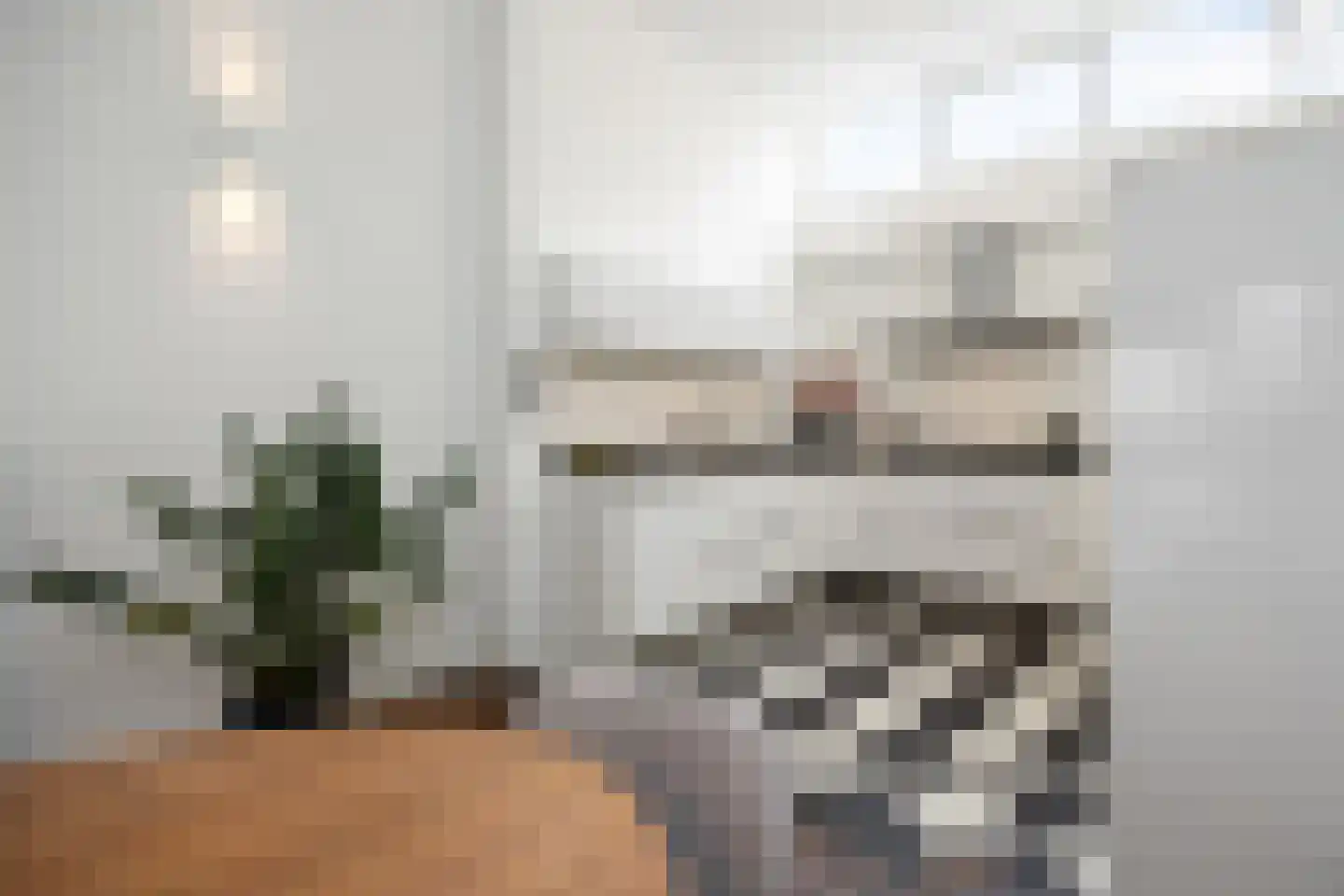 Koningsweg 31 D 's-Hertogenbosch thumbnail 23