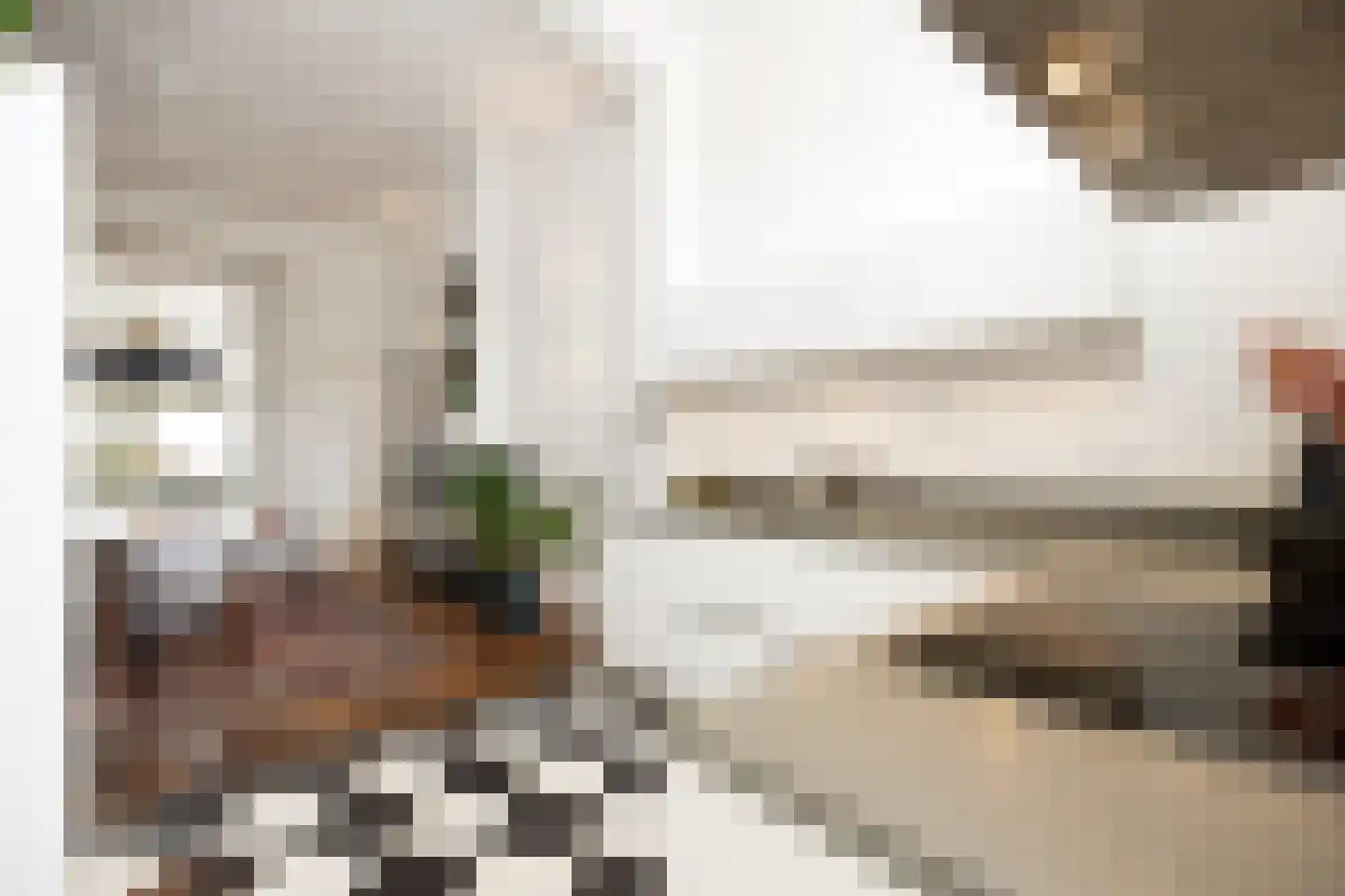Koningsweg 31 D 's-Hertogenbosch thumbnail 24
