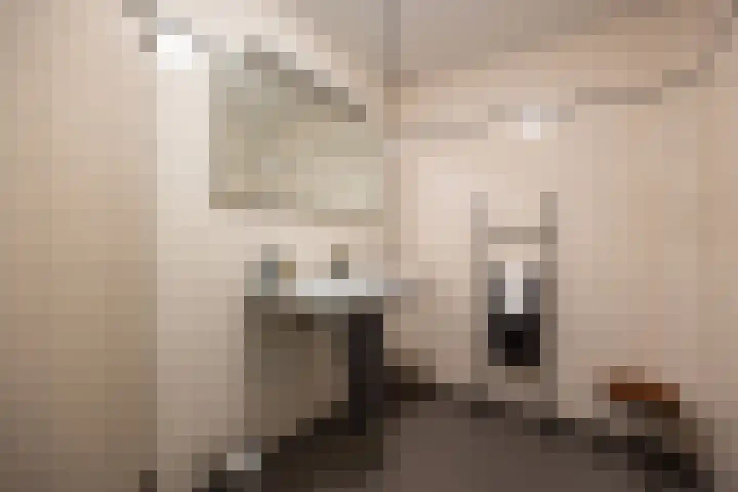 Koningsweg 31 D 's-Hertogenbosch thumbnail 27
