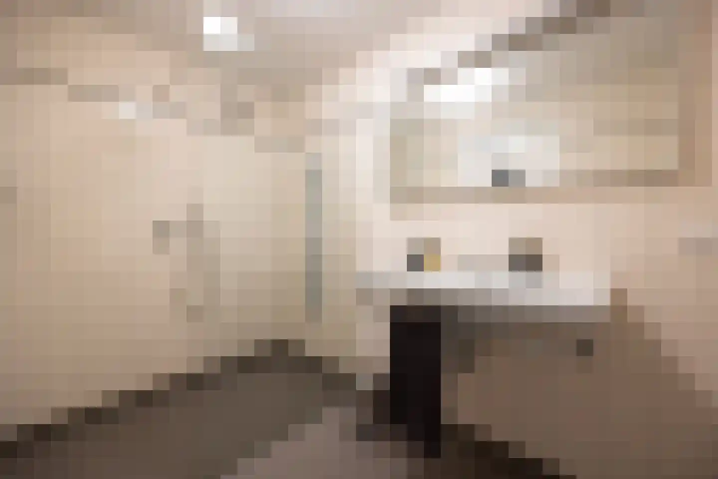 Koningsweg 31 D 's-Hertogenbosch thumbnail 28