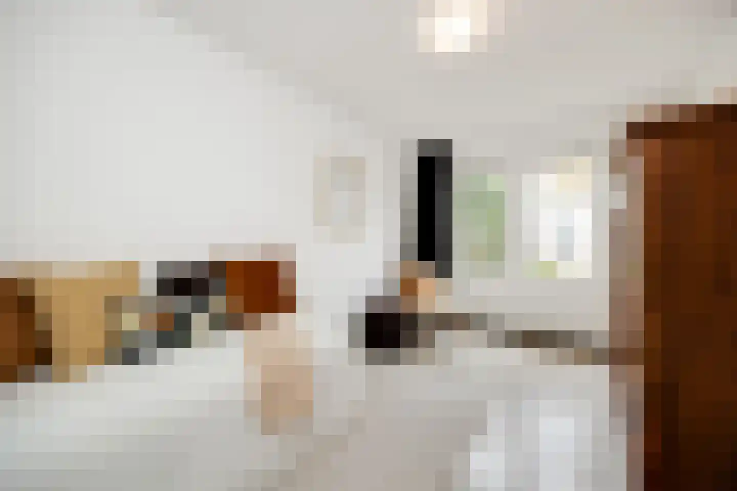 Koningsweg 31 D 's-Hertogenbosch thumbnail 31