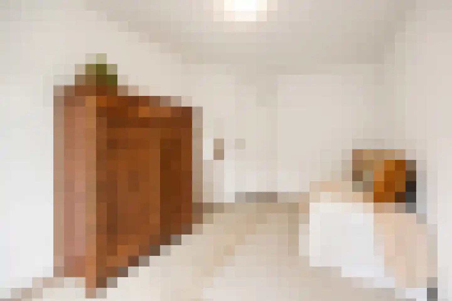 Koningsweg 31 D 's-Hertogenbosch thumbnail 32