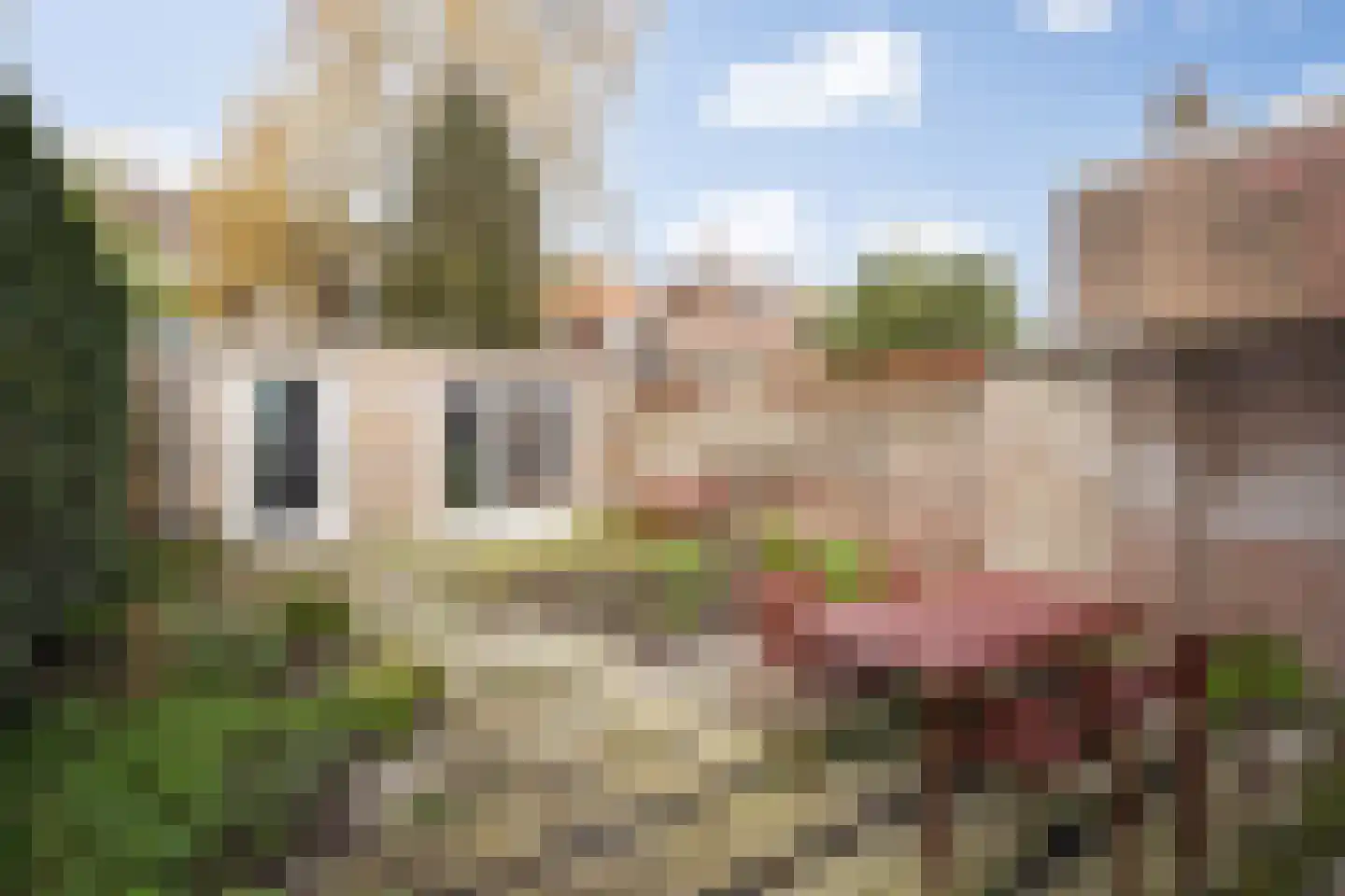 Koningsweg 31 D 's-Hertogenbosch thumbnail 36