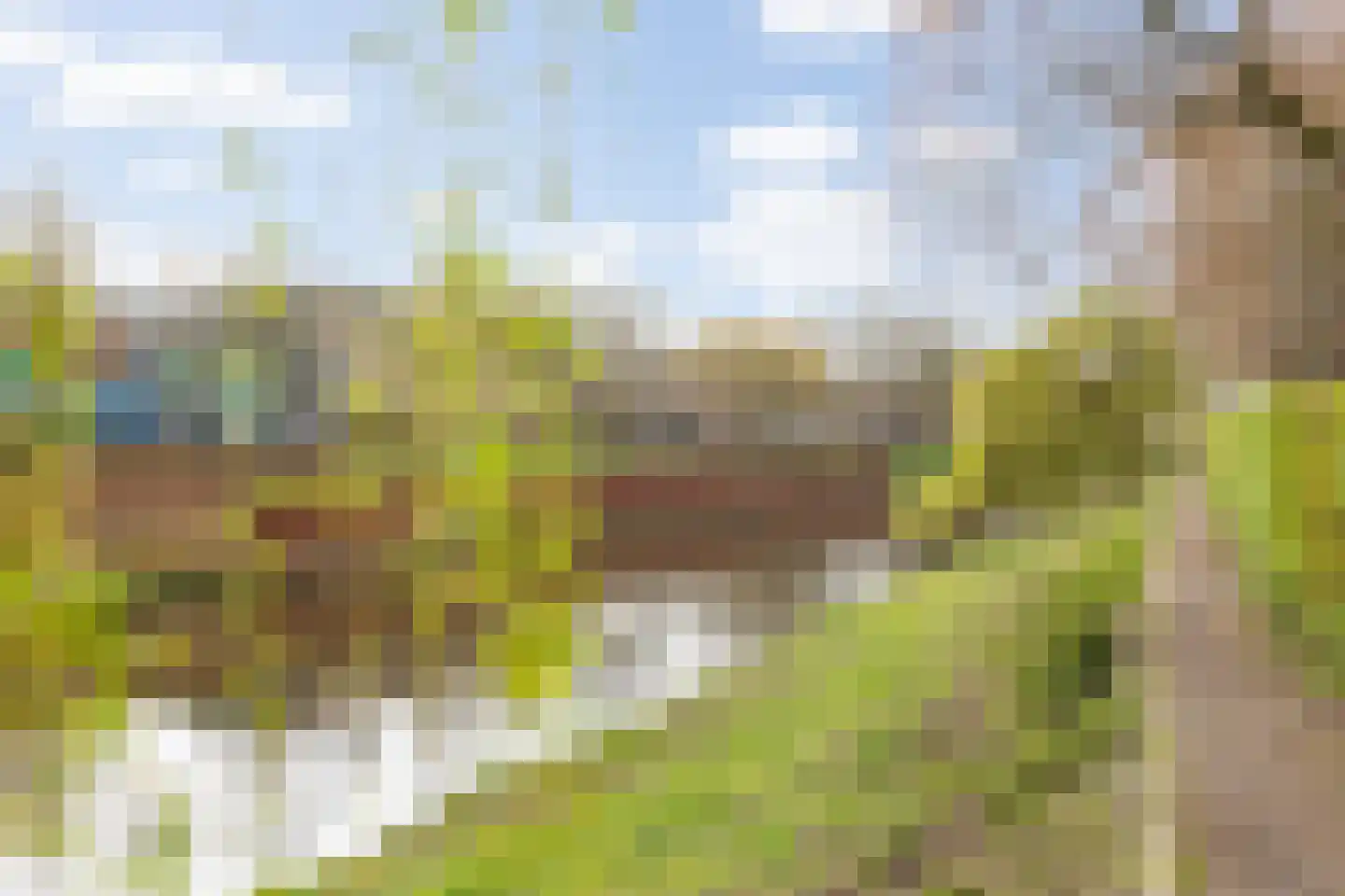 Koningsweg 31 D 's-Hertogenbosch thumbnail 46