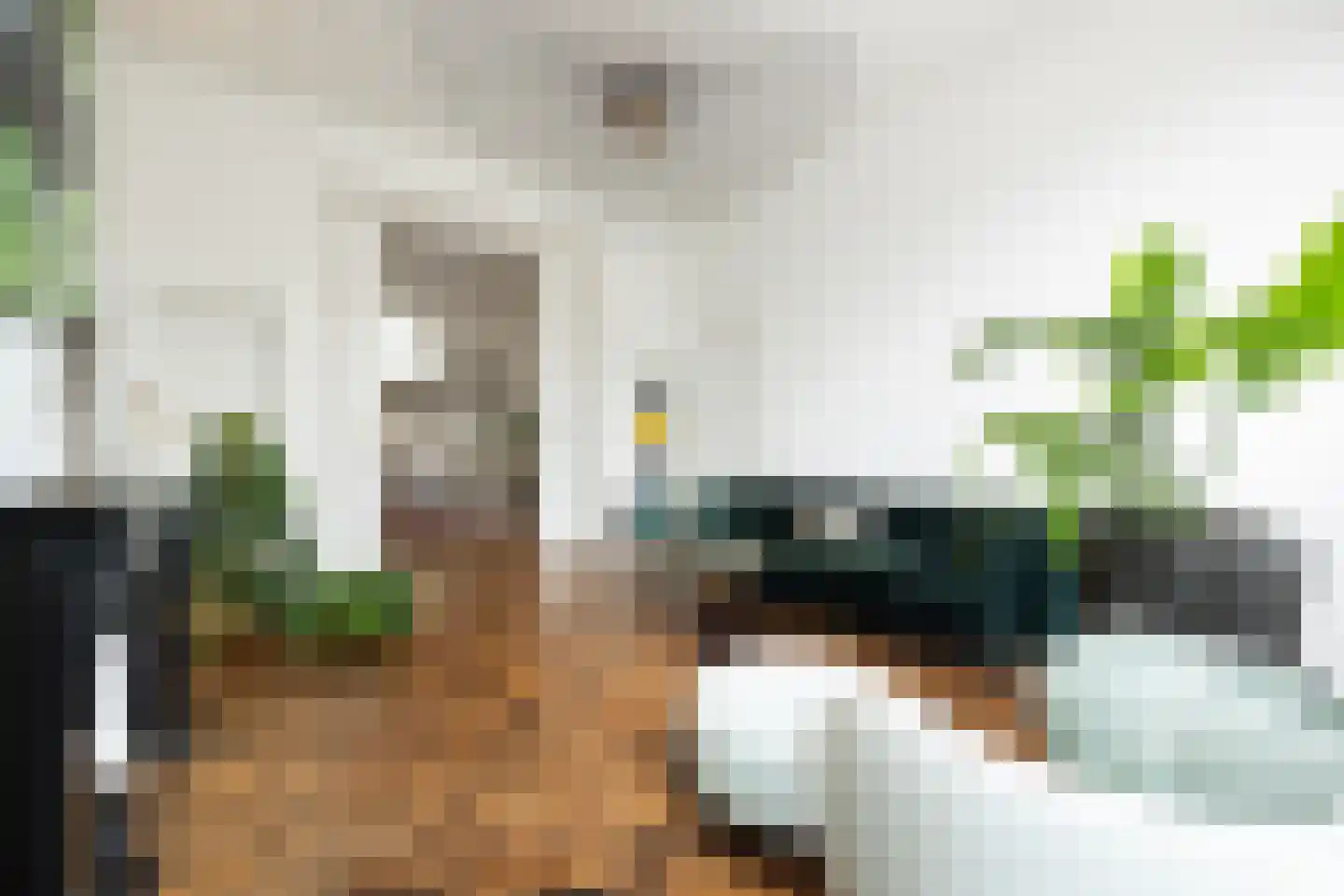 Koningsweg 31 D 's-Hertogenbosch thumbnail 9
