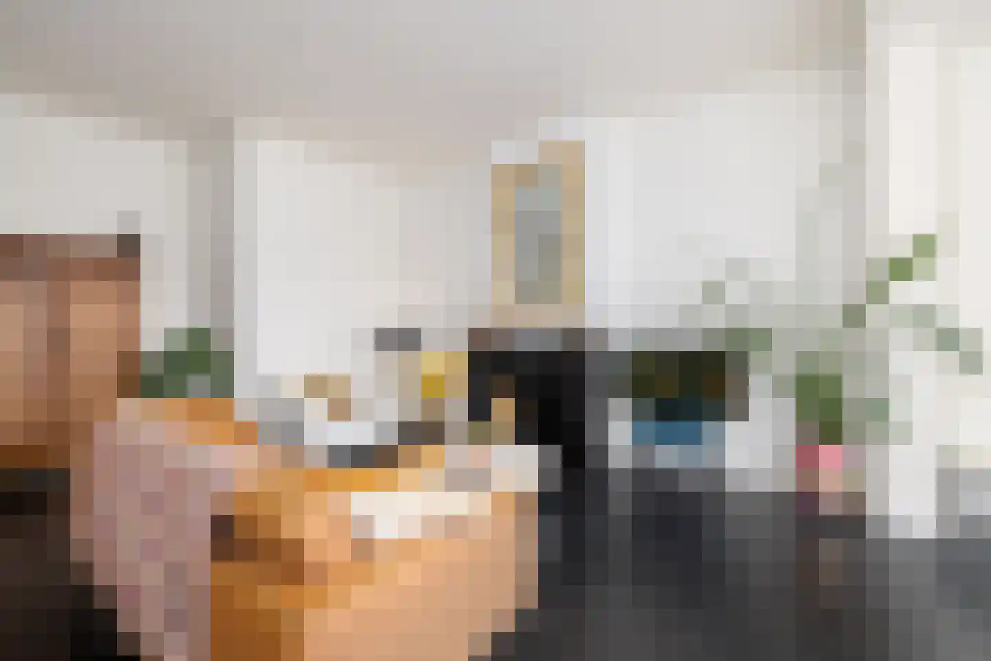 Koningsweg 31 E 's-Hertogenbosch thumbnail 15