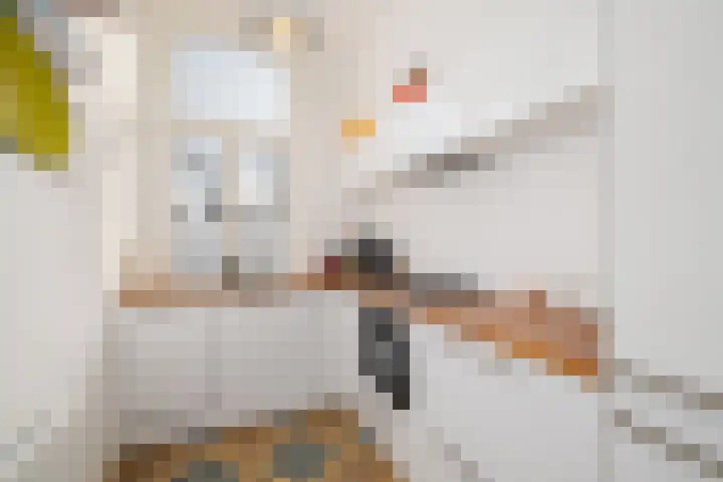 Koningsweg 31 E 's-Hertogenbosch thumbnail 26