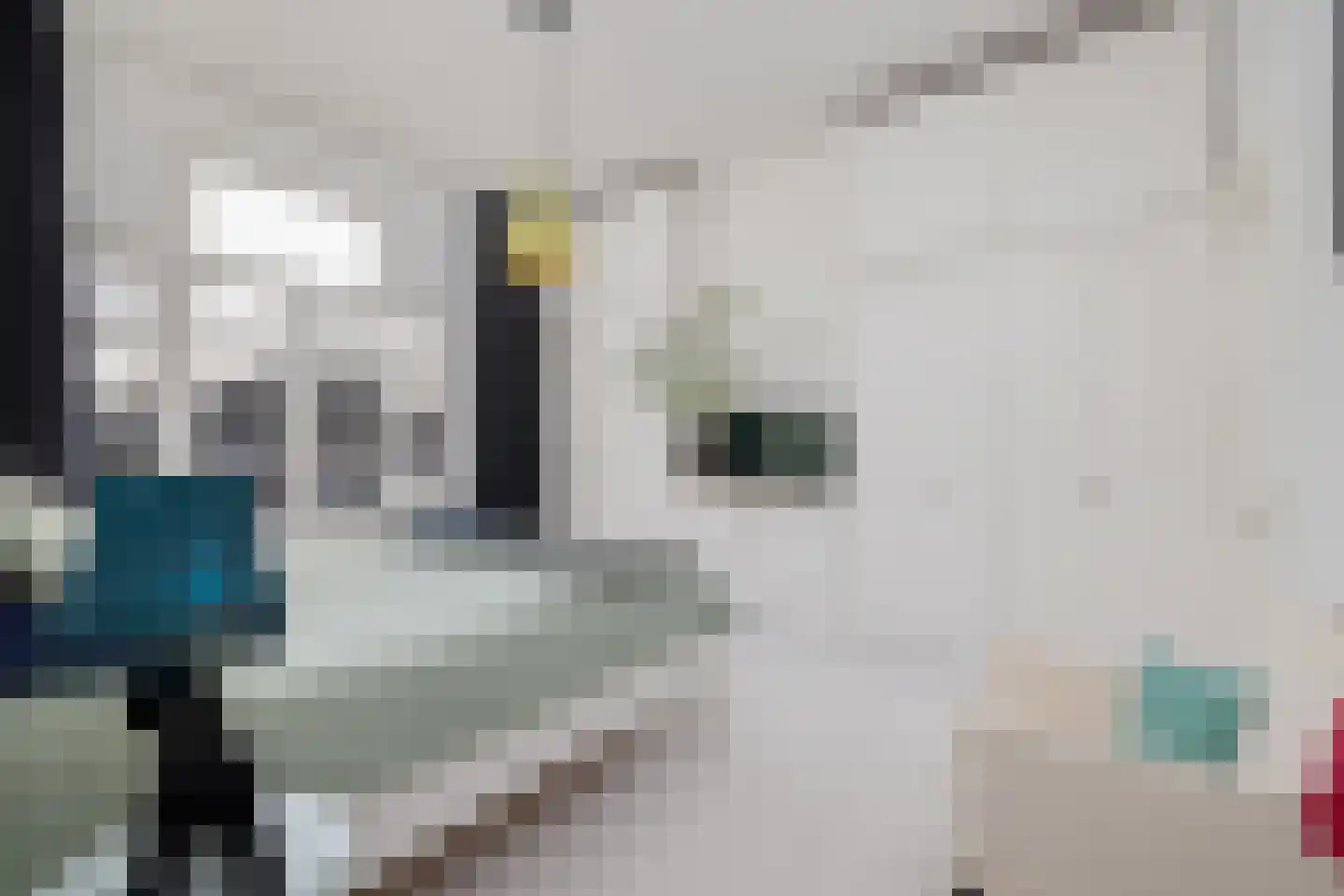 Koningsweg 31 E 's-Hertogenbosch thumbnail 5