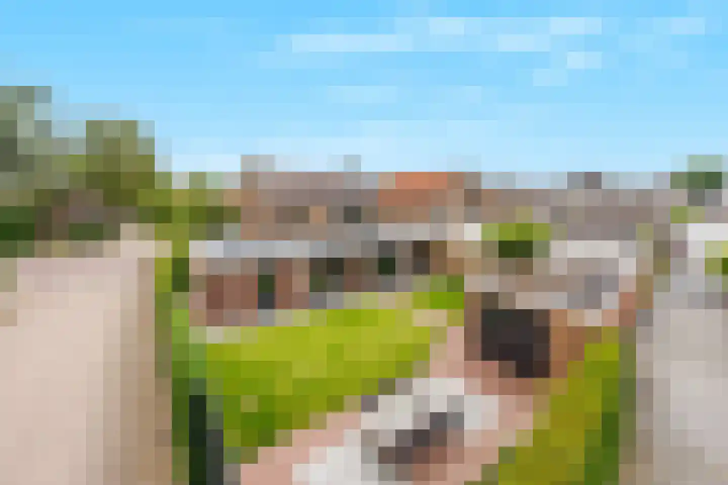 Koningsweg 32 Puiflijk