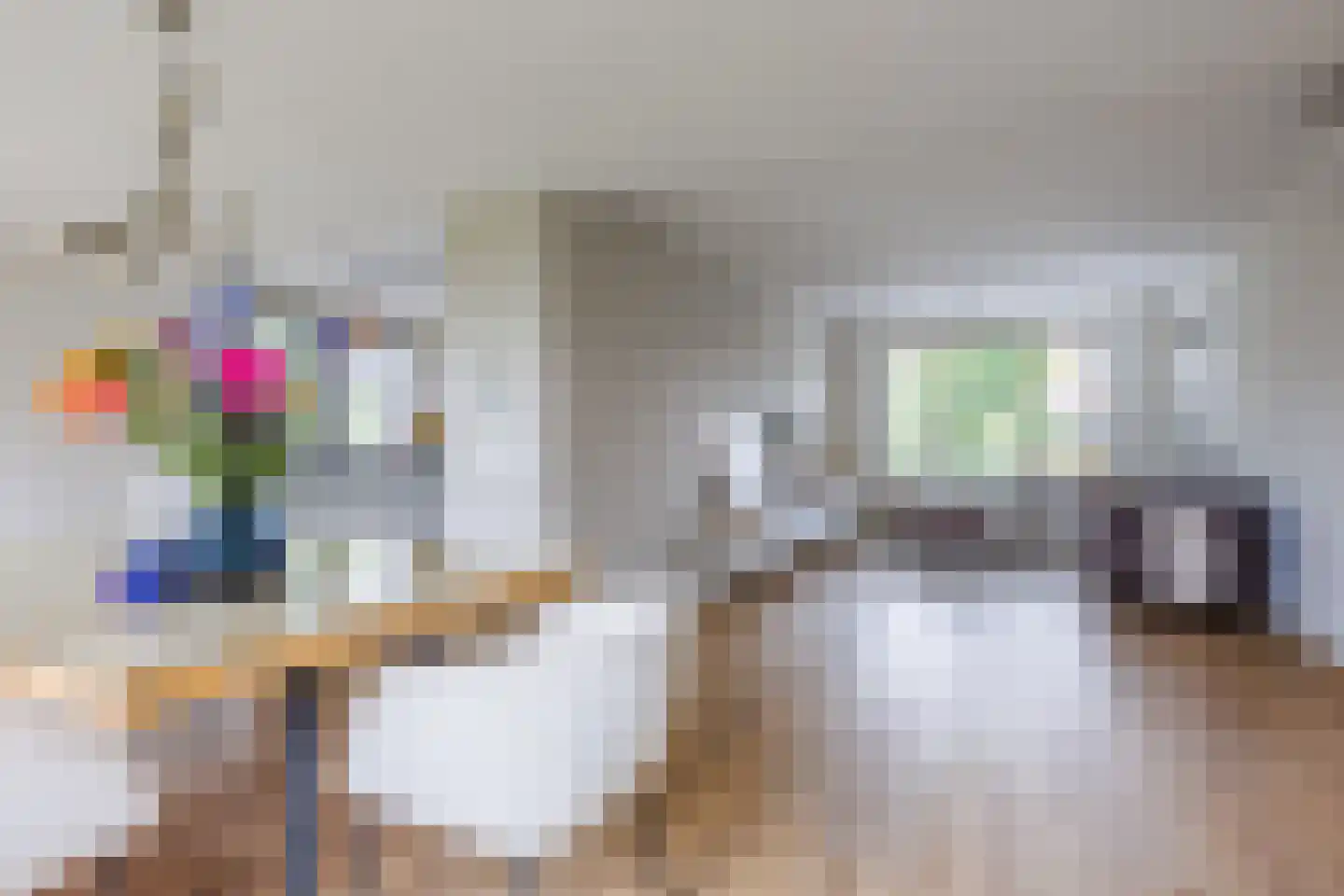 Koningsweg 32 Puiflijk thumbnail 13