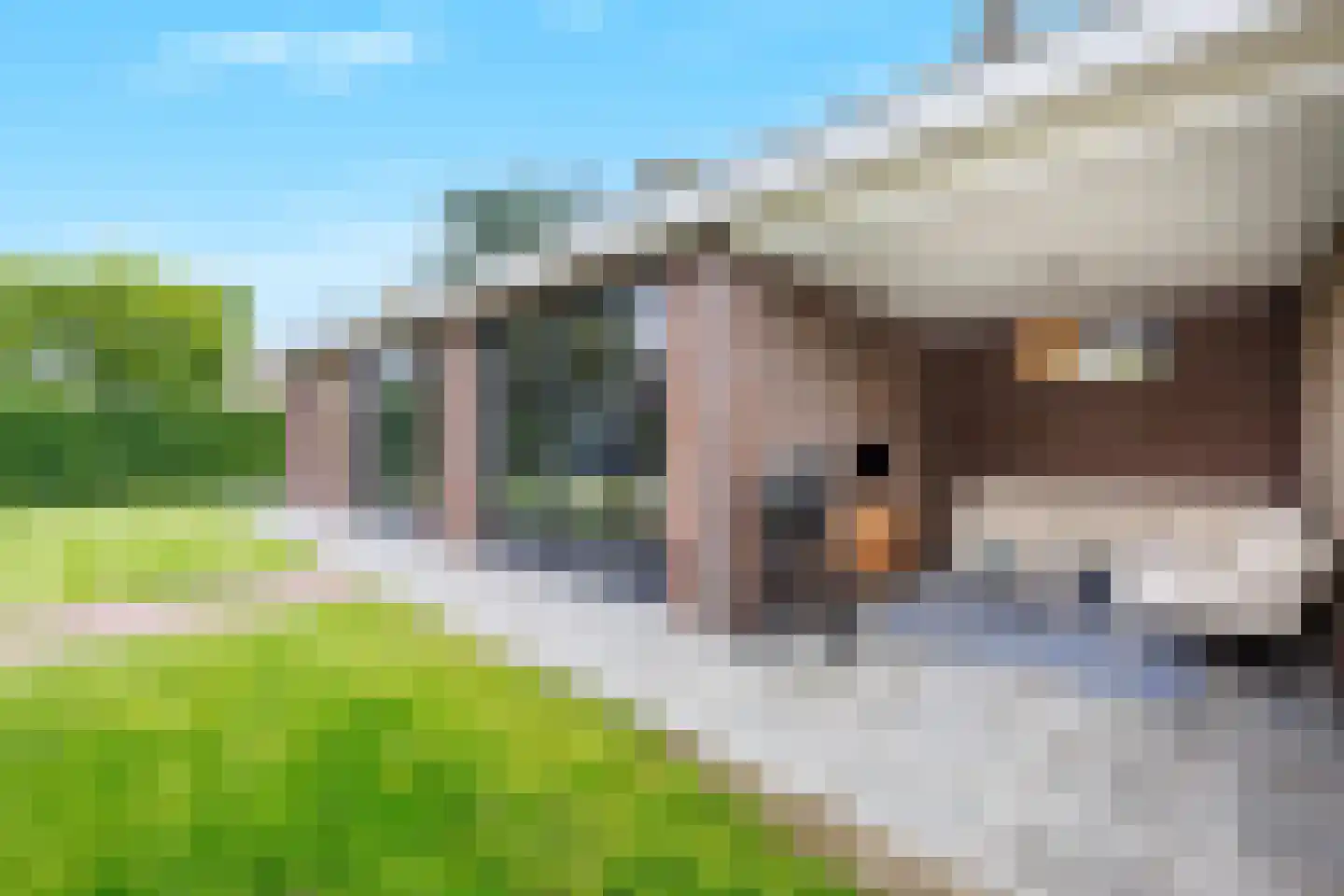 Koningsweg 32 Puiflijk thumbnail 40