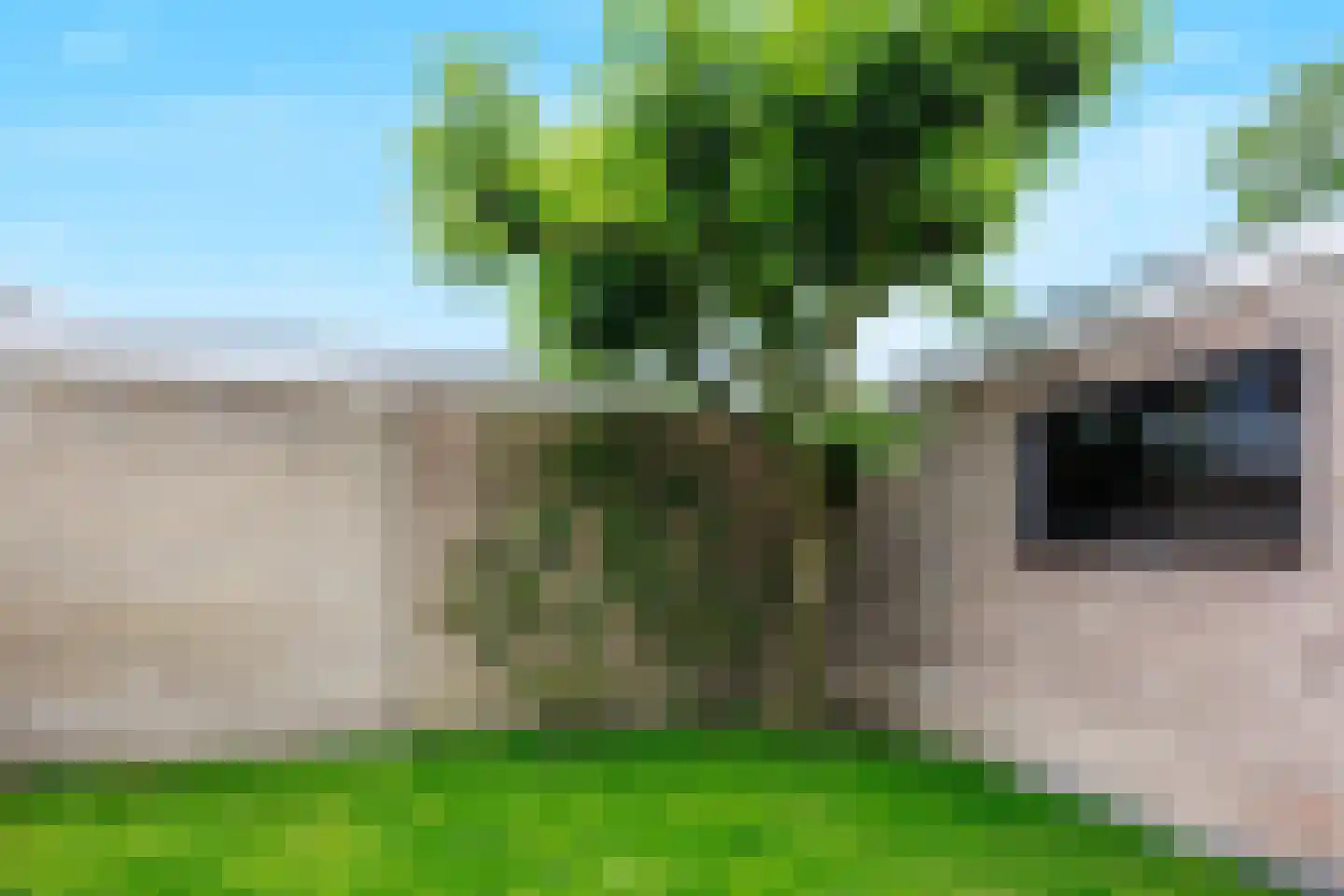 Koningsweg 32 Puiflijk thumbnail 46