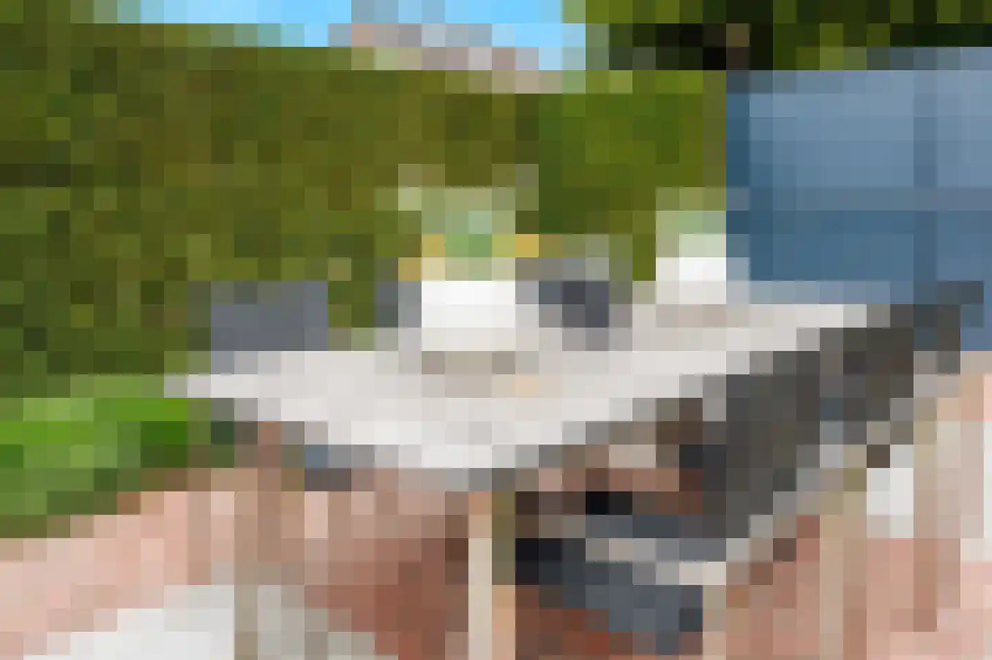 Koningsweg 32 Puiflijk thumbnail 49