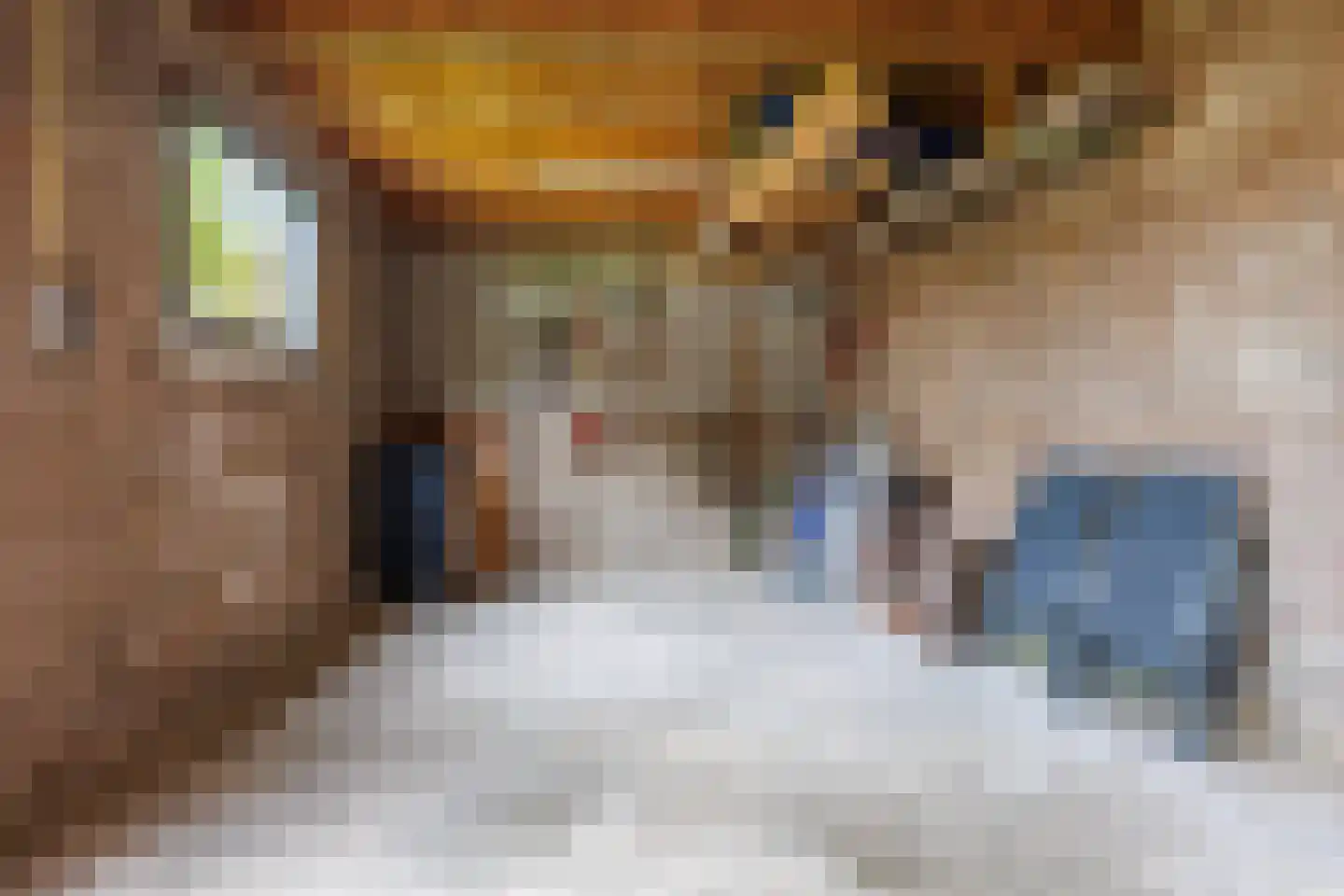 Koningsweg 32 Puiflijk thumbnail 50
