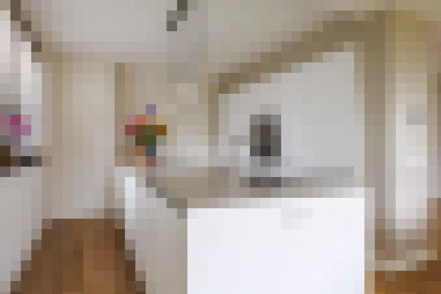 Koningsweg 32 Puiflijk thumbnail 7