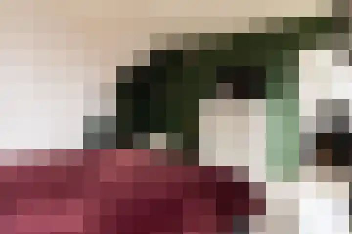 Koningsweg 32 Westerland thumbnail 14
