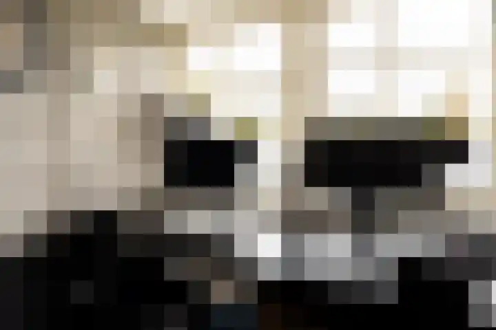 Koningsweg 32 Westerland thumbnail 18