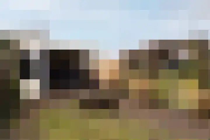 Koningsweg 32 Westerland thumbnail 27