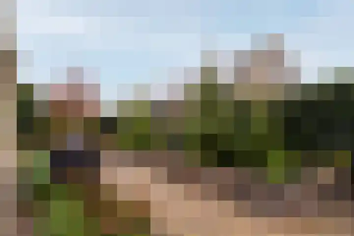 Koningsweg 32 Westerland thumbnail 29
