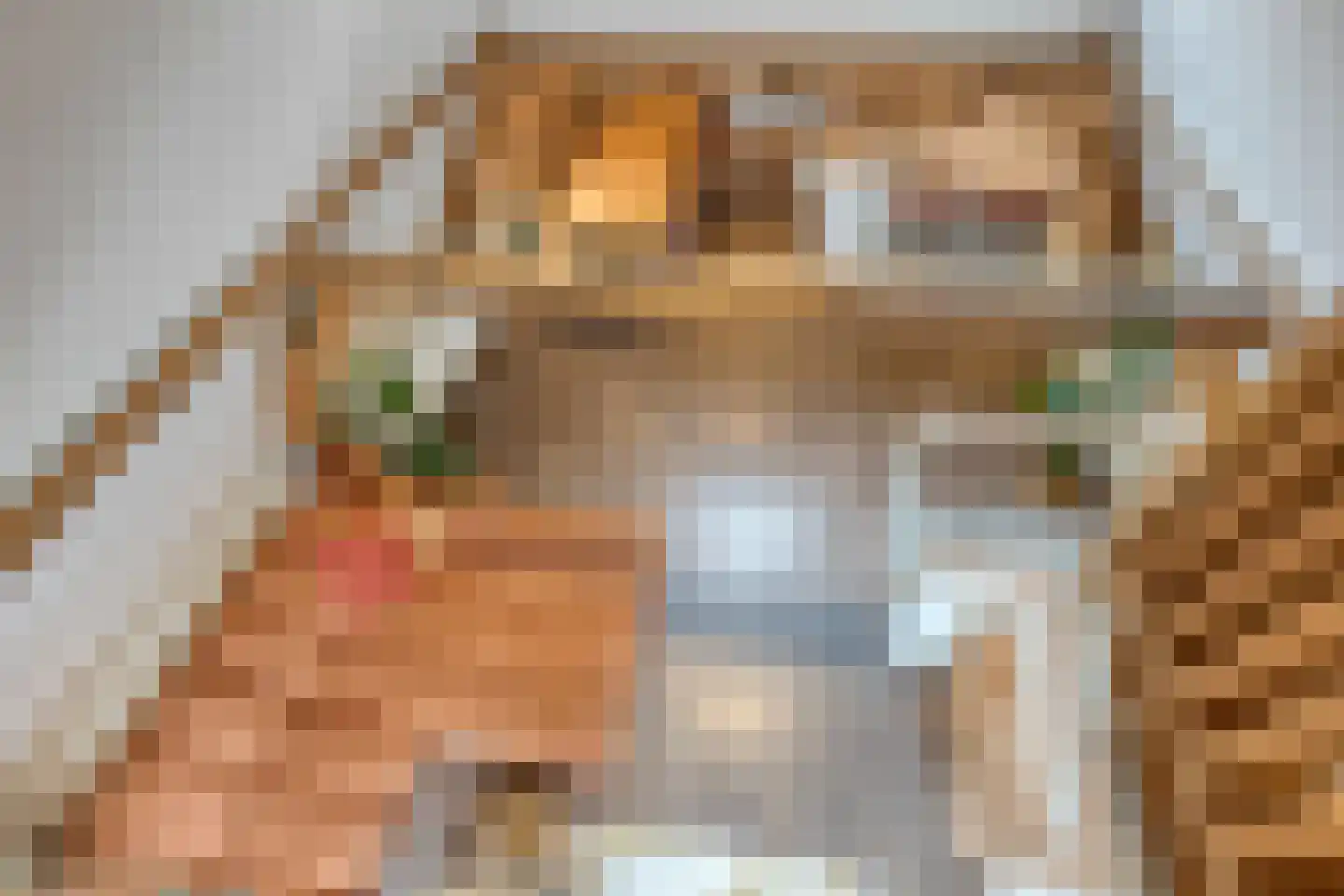 Koningsweg 34 Alkmaar thumbnail 11