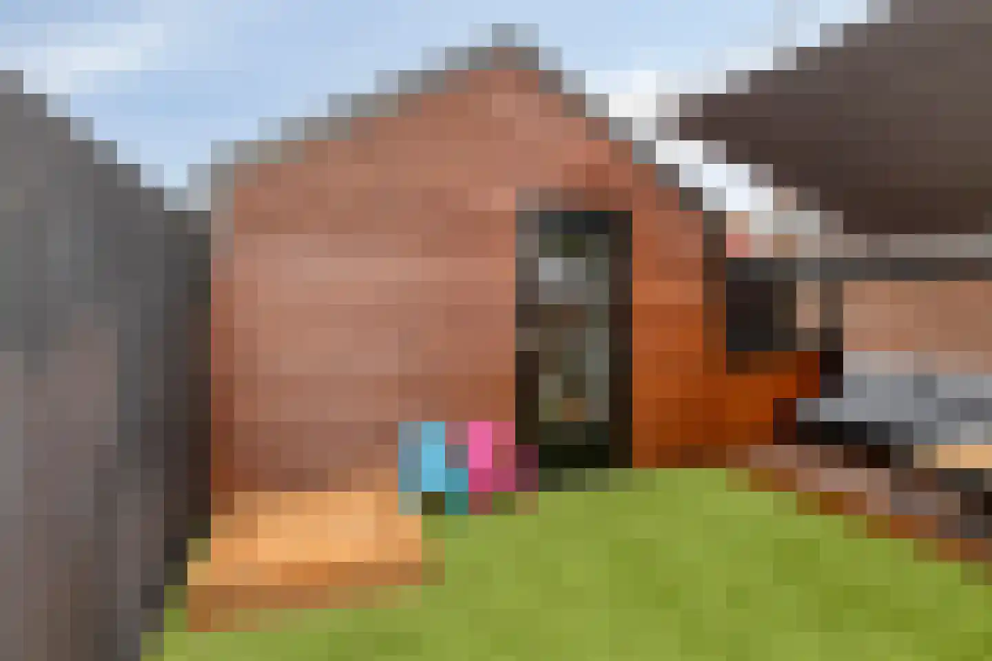 Koningsweg 34 Alkmaar thumbnail 36