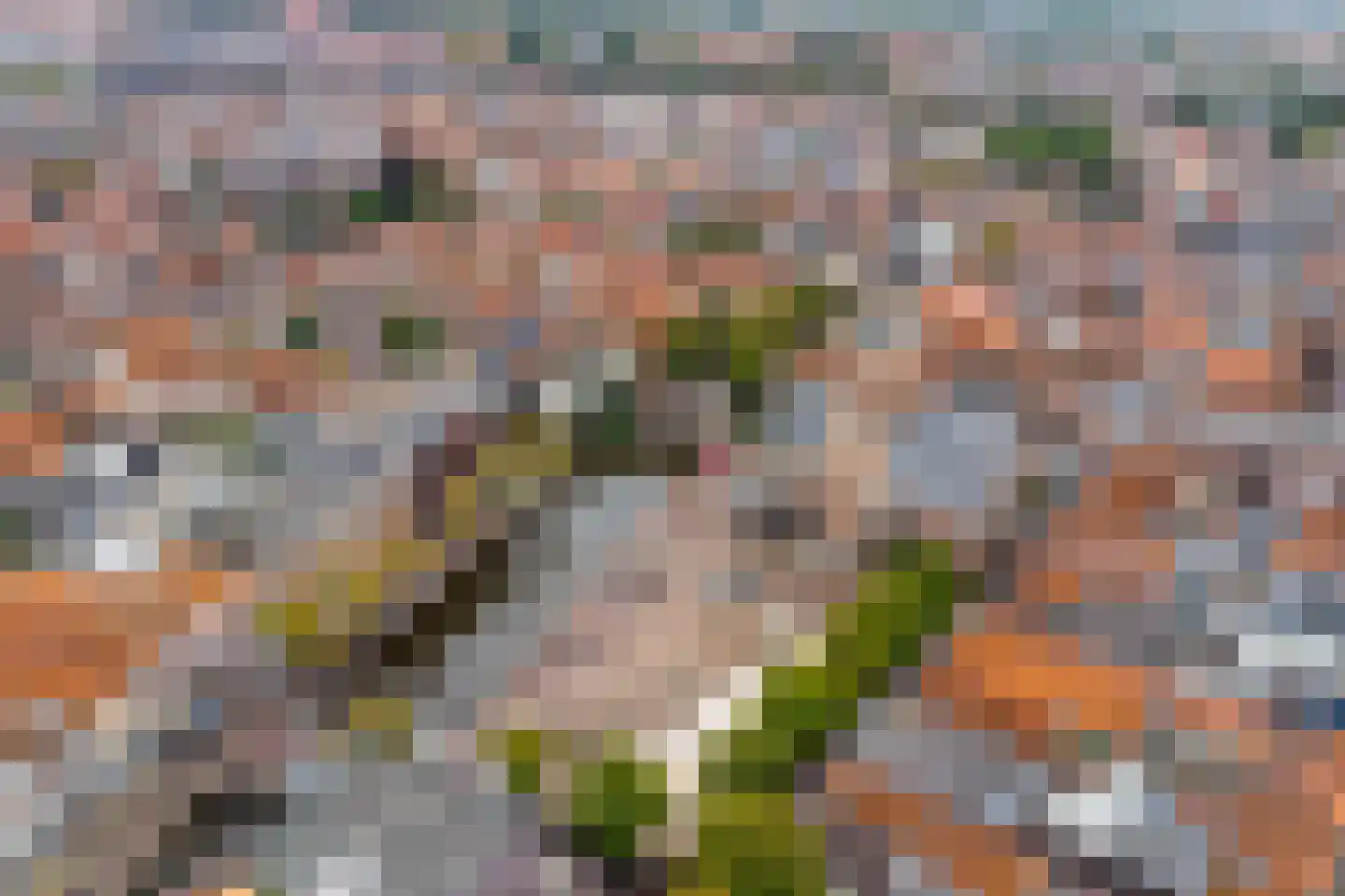 Koningsweg 34 Alkmaar thumbnail 43