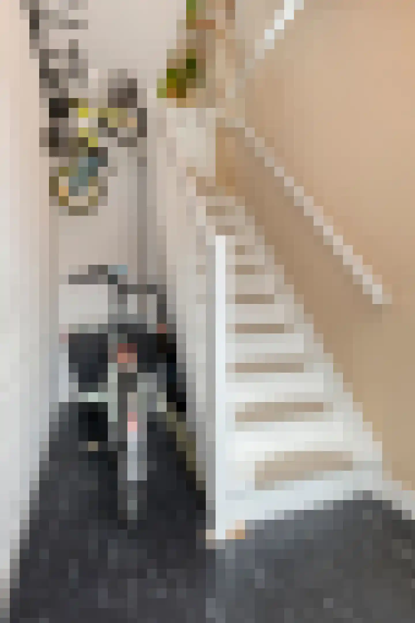 Koningsweg 34 Alkmaar thumbnail 8