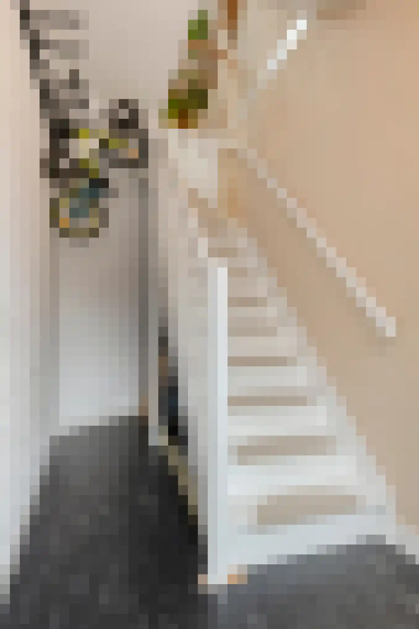 Koningsweg 34 Alkmaar thumbnail 9