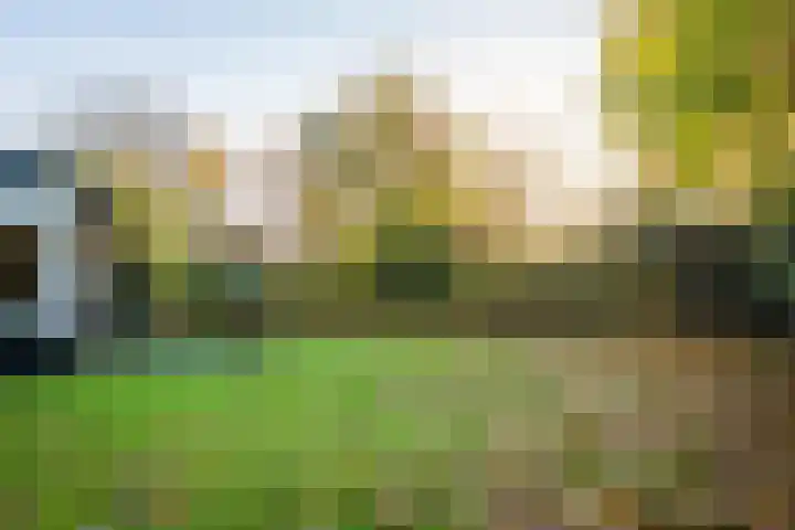 Koningsweg 38 Oosterend thumbnail 4